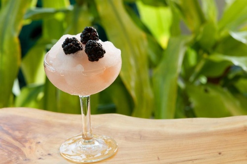 Kimpton Surfcomber Hotel image 10