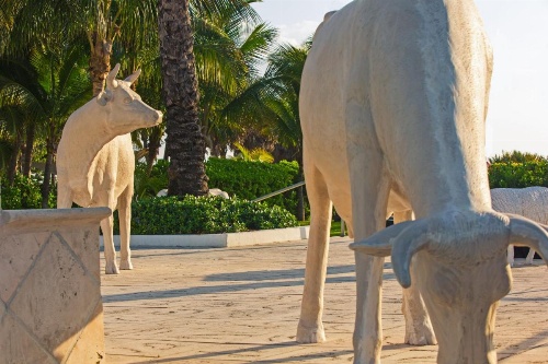 Kimpton Surfcomber Hotel image 12