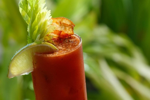 Kimpton Surfcomber Hotel image 14